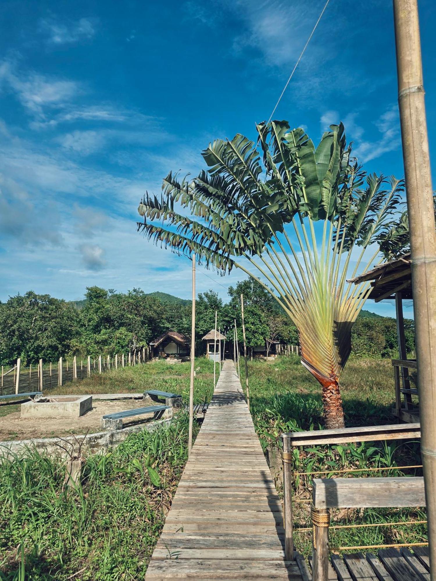 Cabanas De Nacpan Camping Resort El Nido Exterior foto